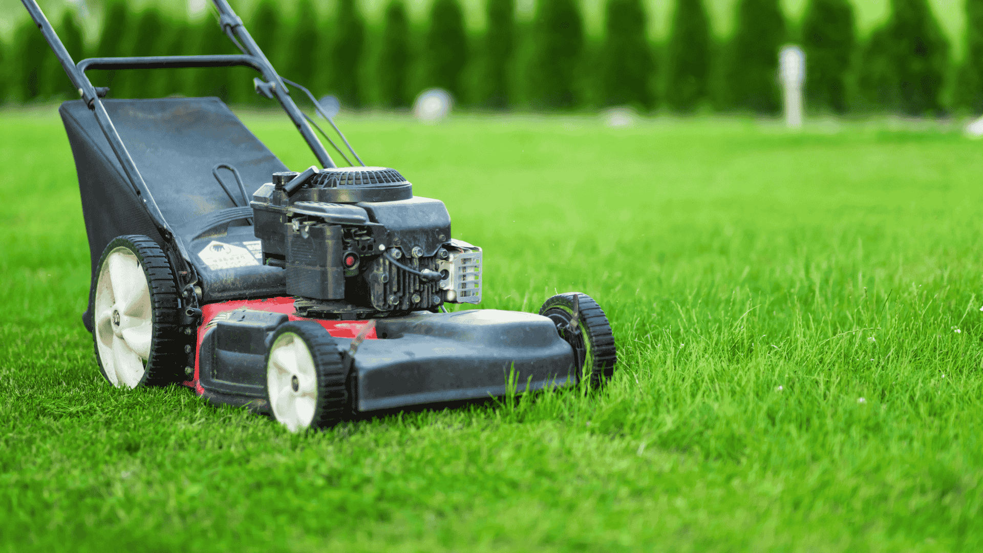 All Natural Landscaping Dover NH expert lawn mowing