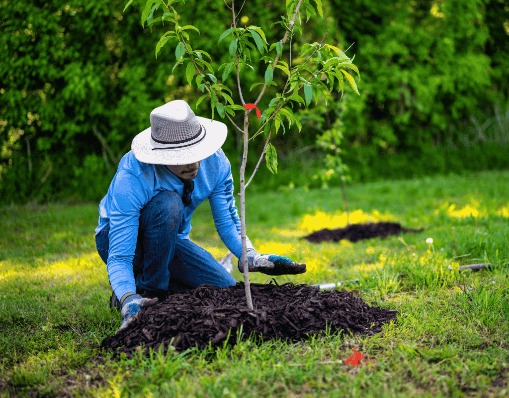 All Natural Landscaping Dover NH quality mulch placement