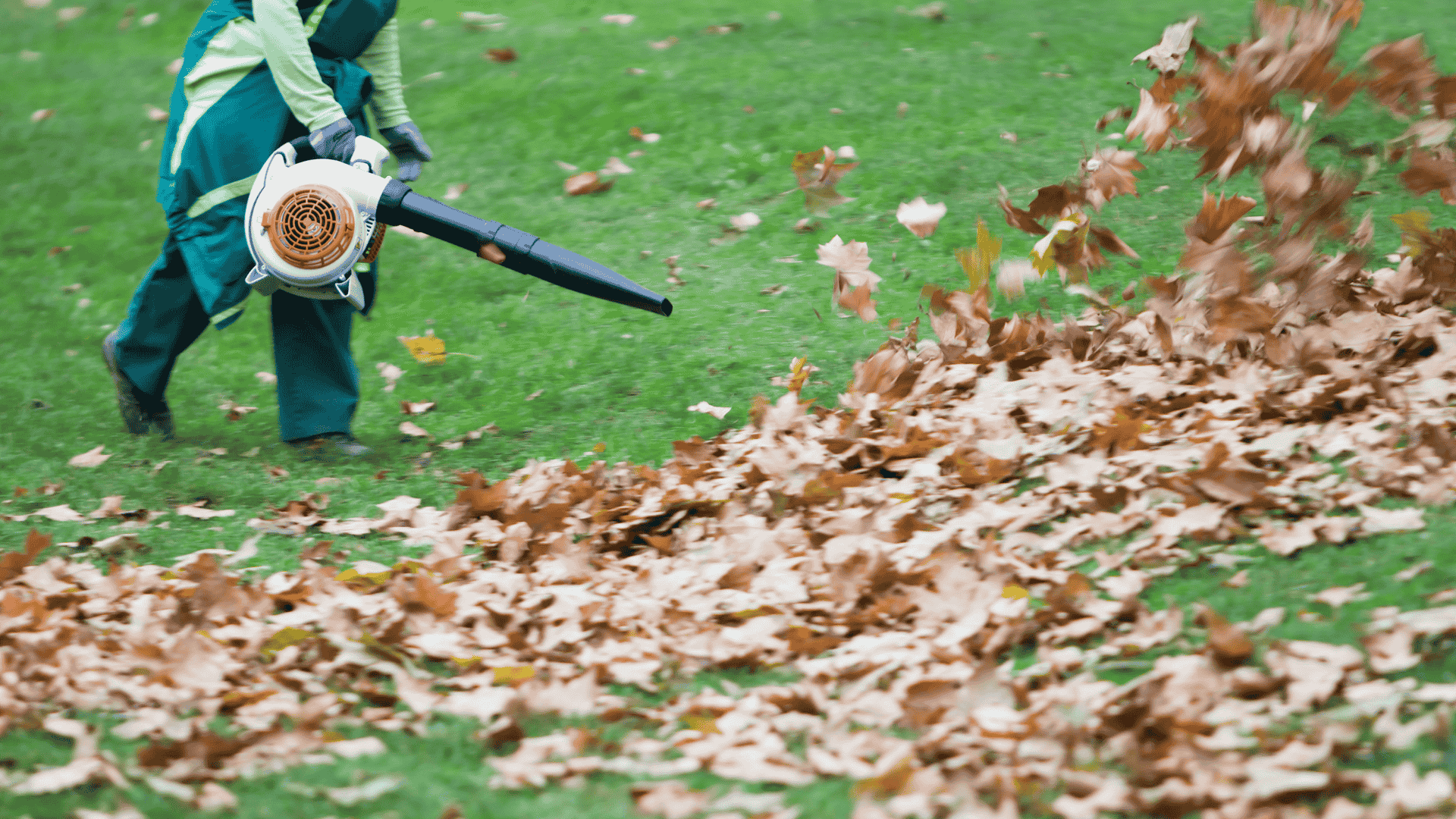 All Natural Landscaping Dover NH seasonal yard cleanup