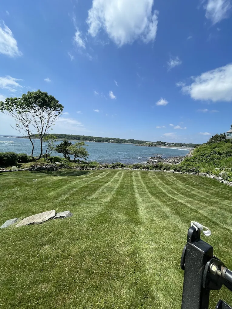 All Natural Landscaping crew performing detailed lawn maintenance for residential properties.