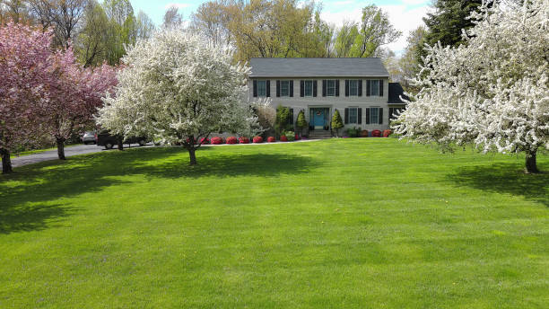 Professional landscaping service improving outdoor spaces in York County
