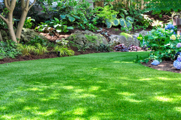 Professional landscaping service improving outdoor spaces in York County