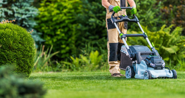 Expert lawn mowing for a lush green property