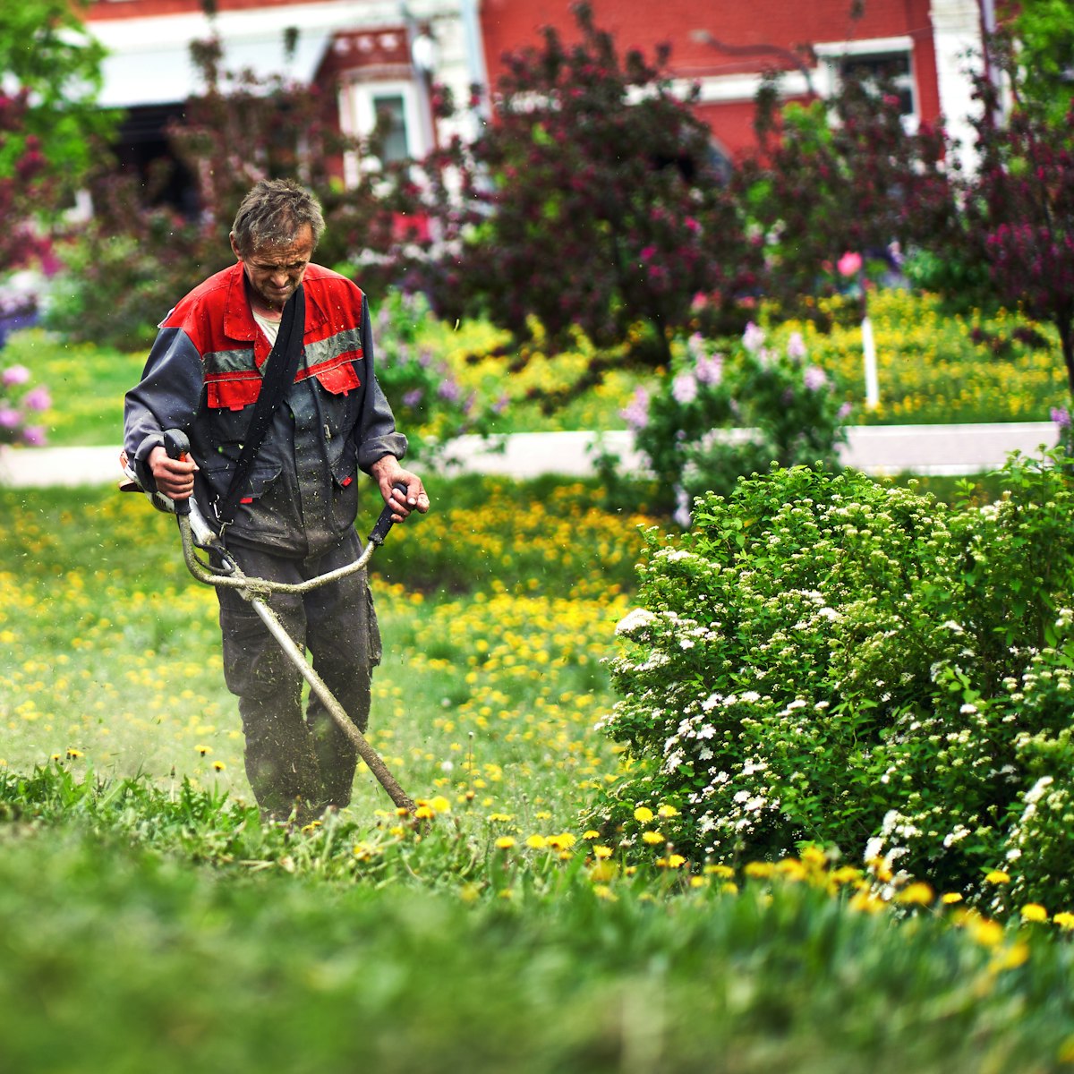 Landscaping professional trimming grass and maintaining garden edges, representing Professional Lawn Care in Somersworth, NH.
