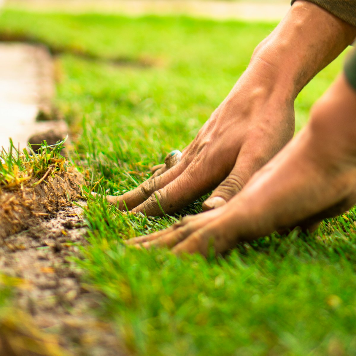 Hands installing and pressing fresh turf along a lawn edge, representing Lawn Care services near me.