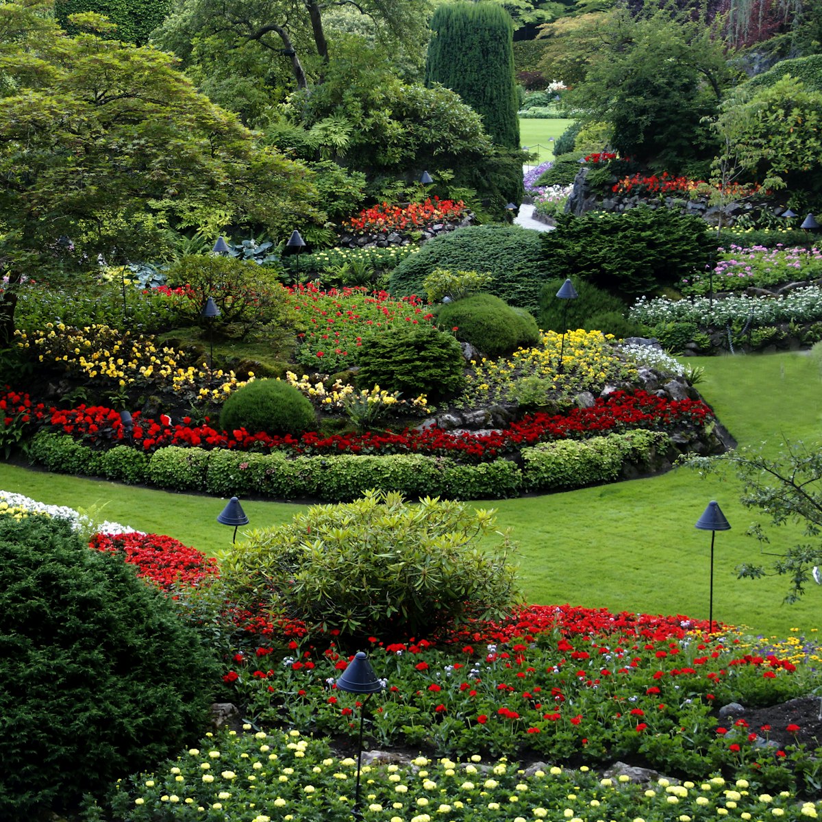 Lawn Care Services
