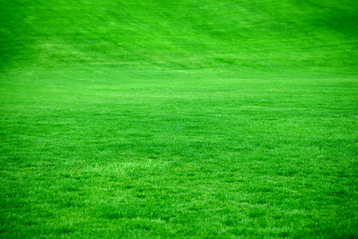 Freshly maintained green lawn for lawn care services near me