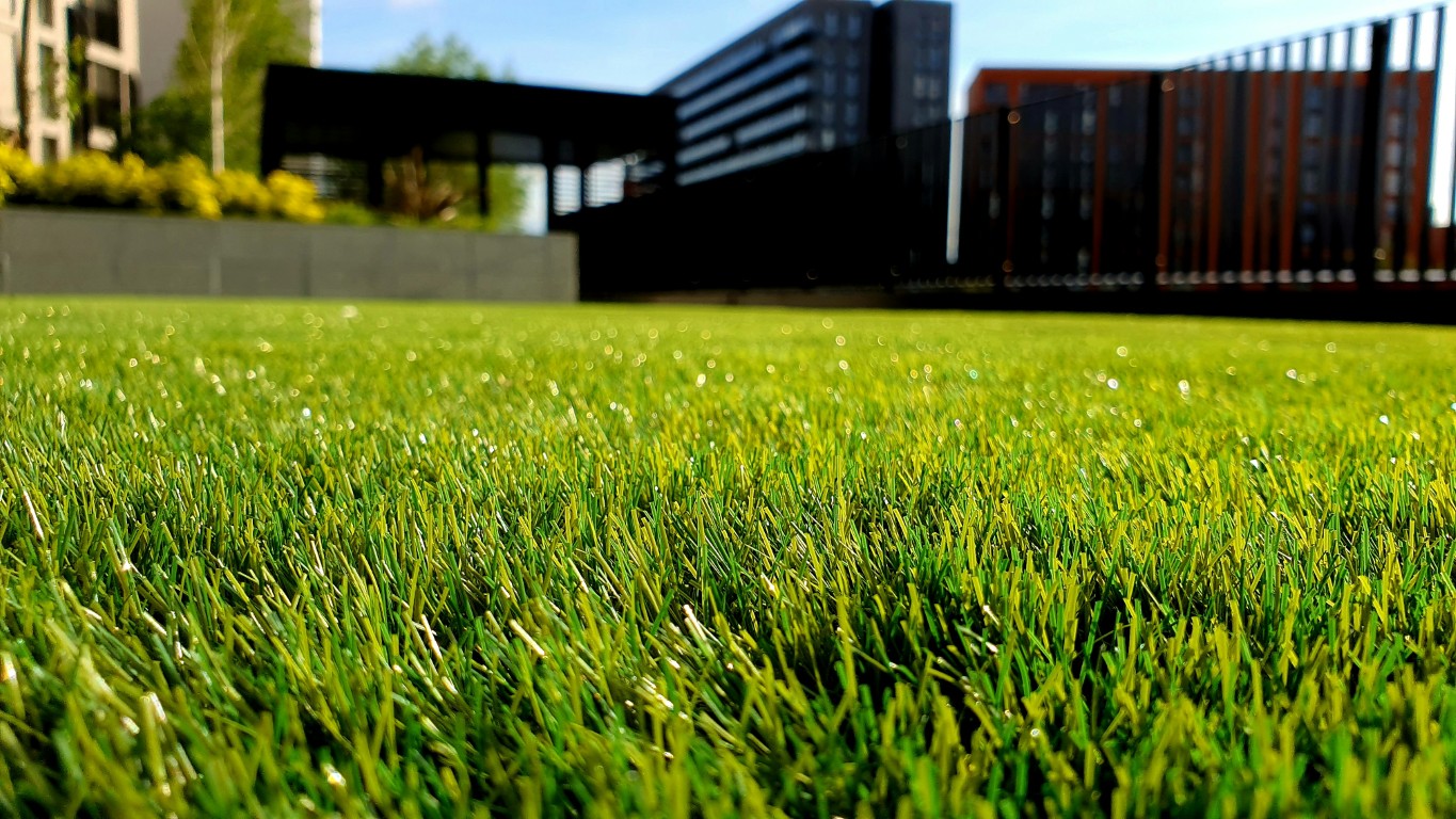 Close-up of a freshly maintained green lawn for lawn care services near me