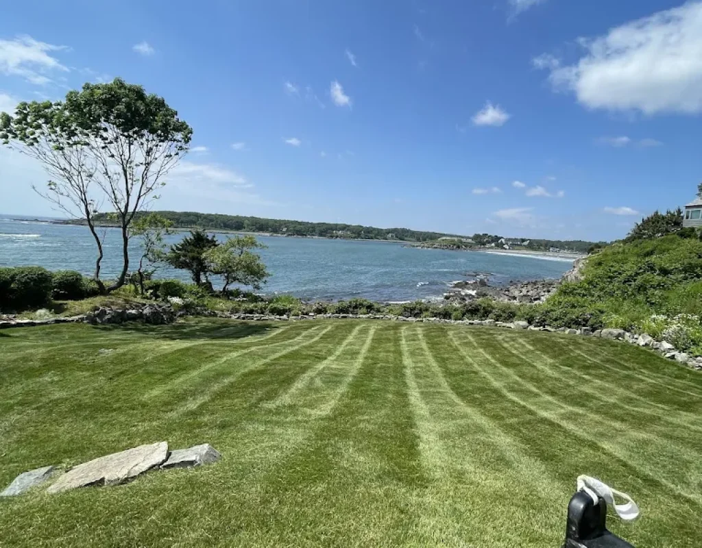 All Natural Landscaping crew performing detailed lawn maintenance for residential properties.