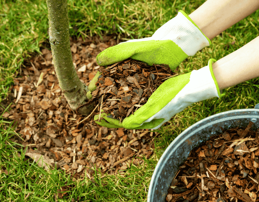 All Natural Landscaping Dover NH professional mulching service