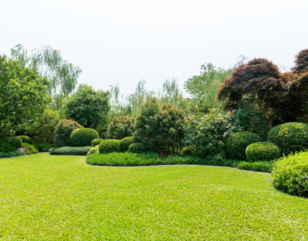Expert lawn mowing for a lush green property