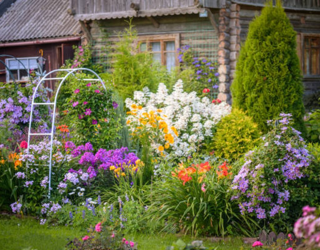 Expert landscapers planting seasonal flowers creating vibrant outdoor landscape designs.