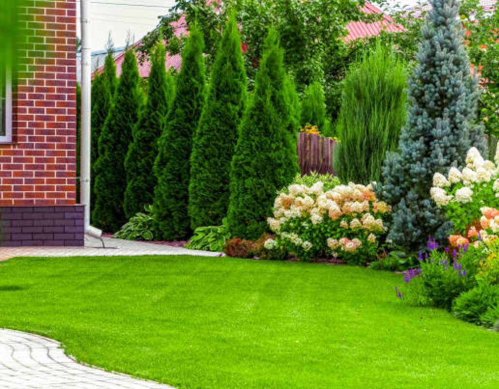 Professional landscaping team designing outdoor garden layout with natural elements