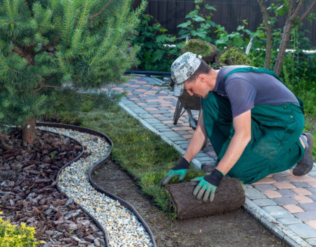 Professional landscaping services residential and commercial outdoor design and maintenance