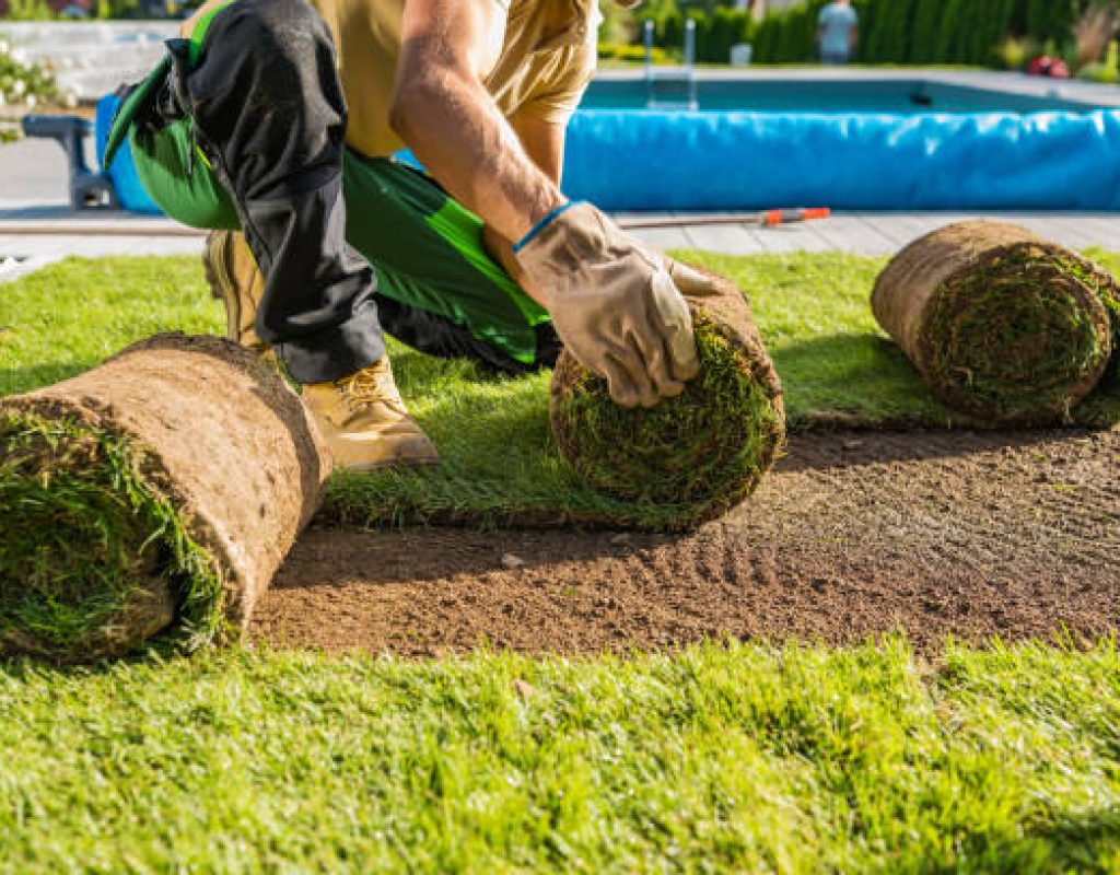 Commercial landscaping solutions maintaining clean attractive and functional outdoor spaces