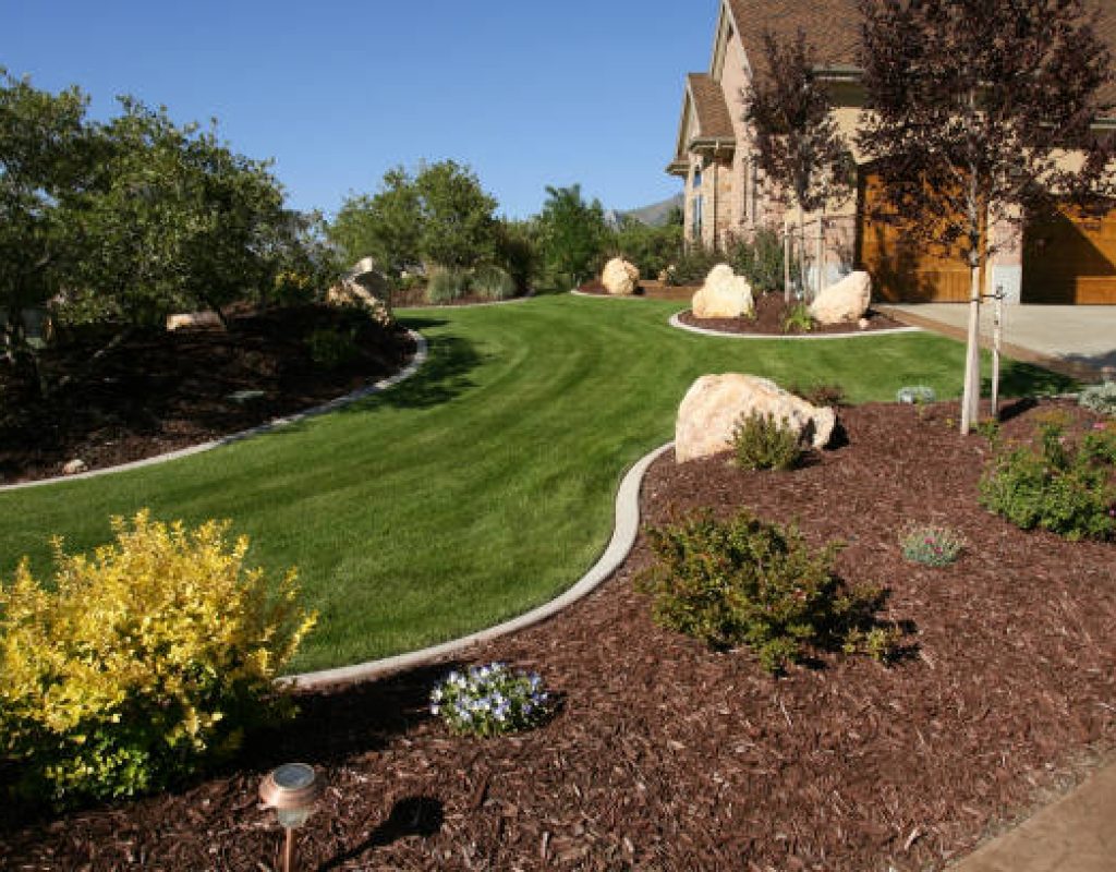 Beautiful stone walkway installation surrounded by lush green landscaping design