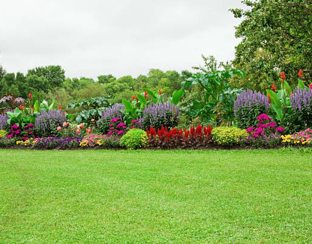 Expert landscape design solutions for residential and commercial properties in Saco