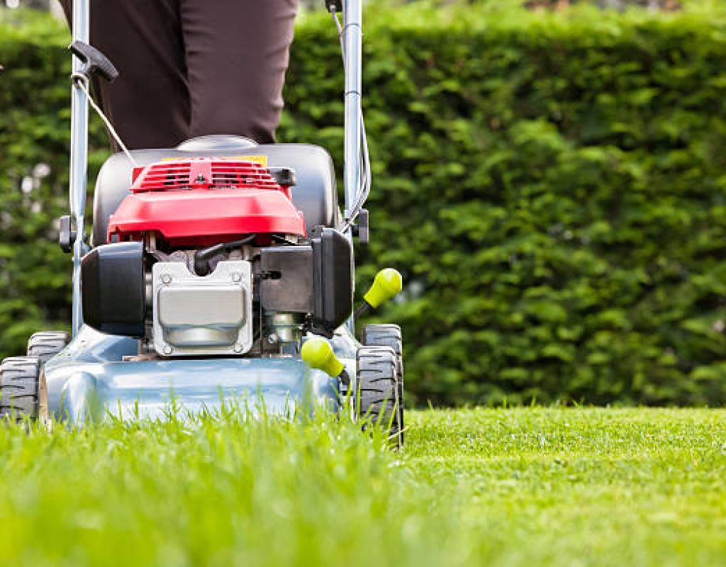 Professional mowing service improving curb appeal