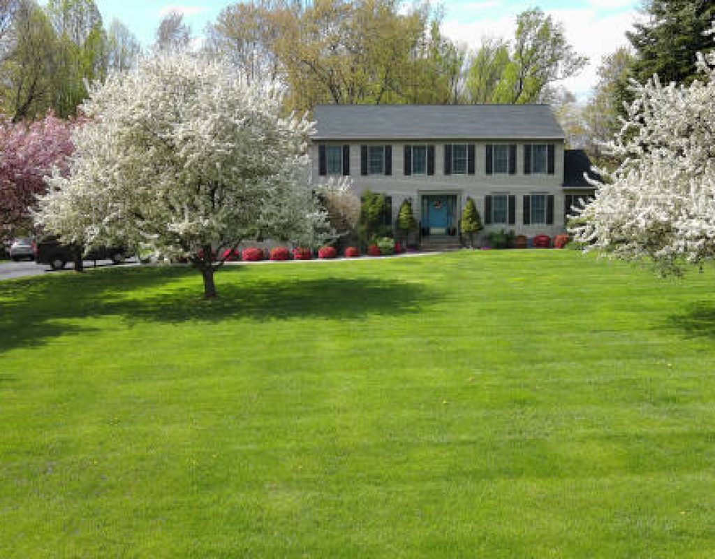 Professional landscaping service improving outdoor spaces in York County