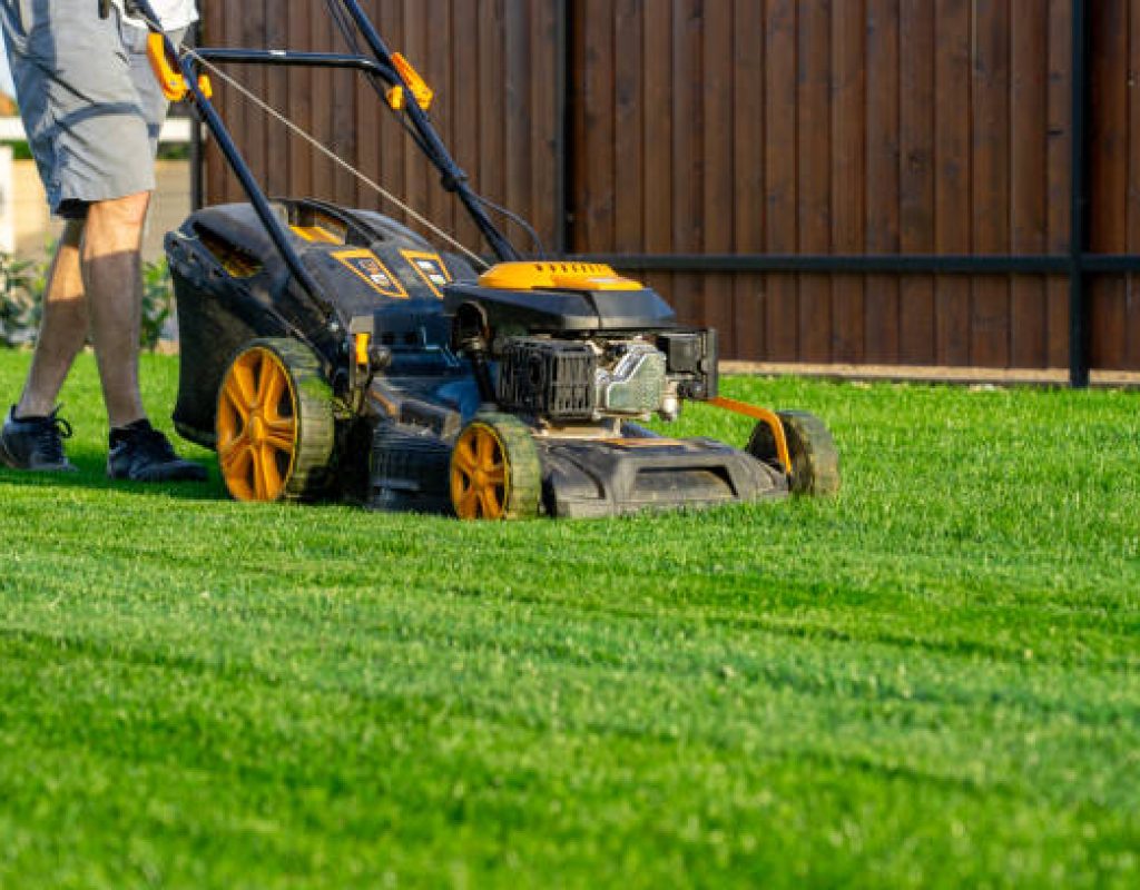 Freshly mowed lawn with clean, defined edges