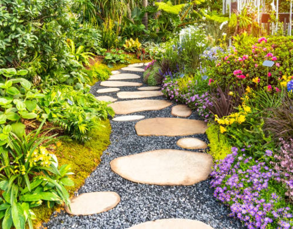 Complete landscaping care from lawn mowing to seasonal garden maintenance services