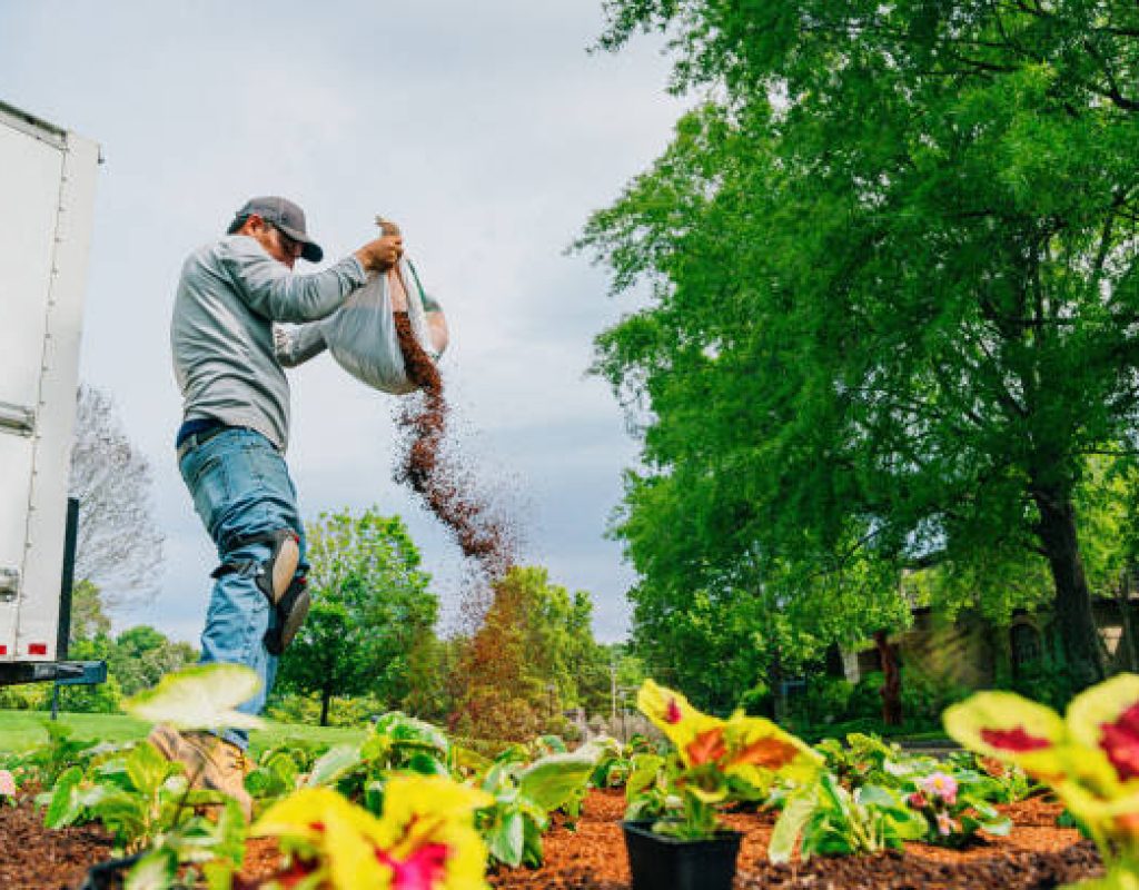 All Natural Landscaping team creating well kept outdoor landscape areas