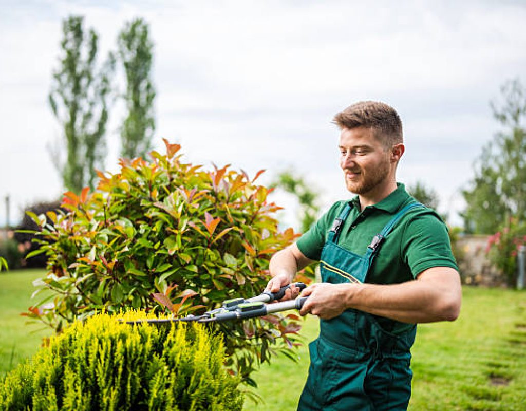 All Natural Landscaping installing new plants and flowers at home