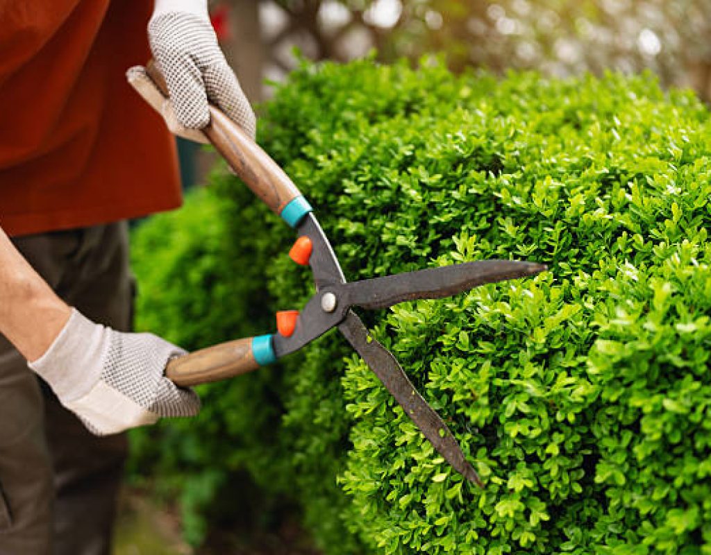 Expert landscaping company creating beautiful lawns gardens and outdoor living spaces