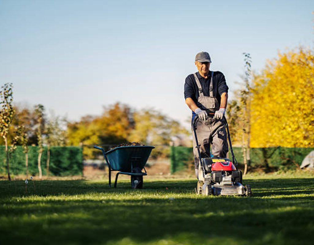 Residential lawn maintained by All Natural Landscaping