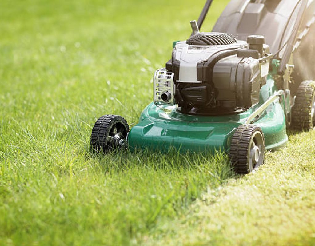 Home lawn with freshly cut grass and crisp edging