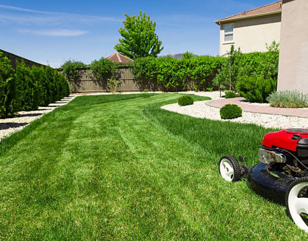 Expert lawn mowing for a lush green property